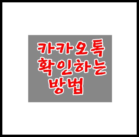  카카오톡 비행기탑승모드 몰래확인하는법