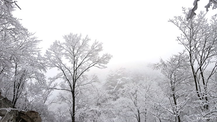 유명산 등산(자연휴양림 원점회귀 코스) 유명산 등산(자연휴양림 원점회귀 코스)