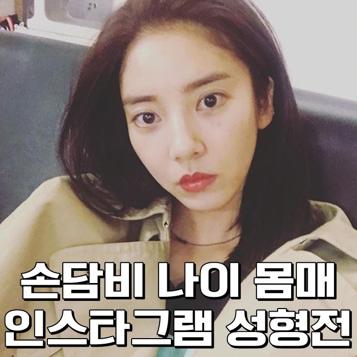 손담비 나이 몸매 인스타그램 성형전 와우