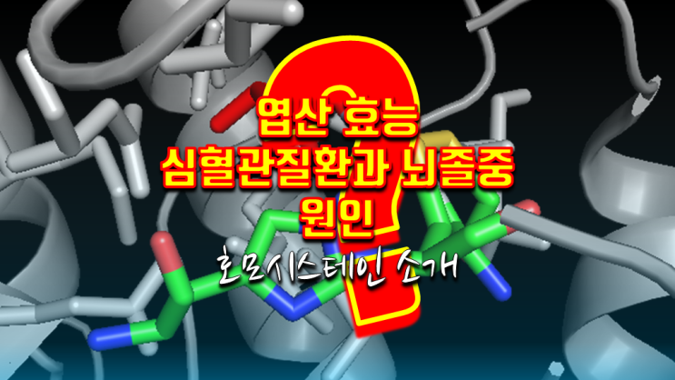  엽산의 효능 부작용 및 심혈관질환 뇌졸중의 원인 호모시스테인 소개