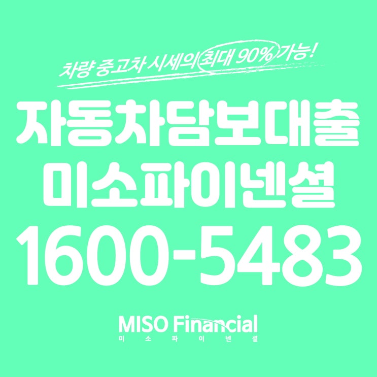  더 뉴 카니발 자동차입고대출