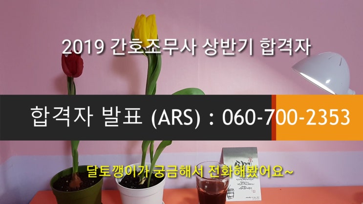  국시원 2019 상반기 간호조무사 합격발표/저 합격했어요 : ) (feat. 달토깽이 간조책 무료나눔 이벤트발표: 간지짱님 당첨!)