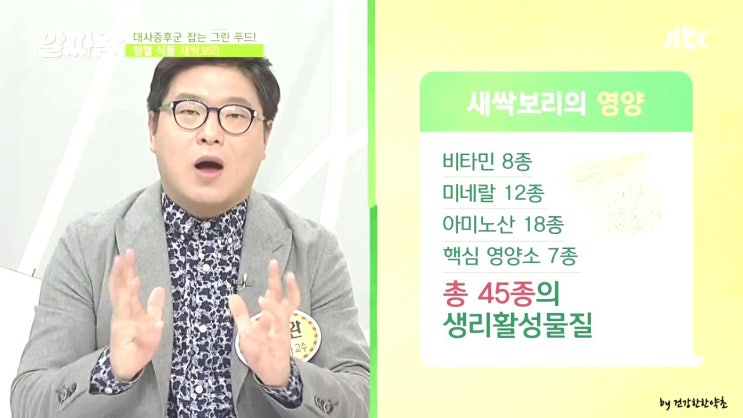  새싹보리분말 새싹보리가루