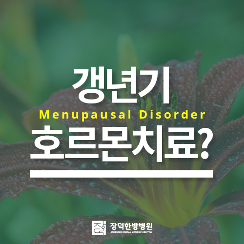  갱년기 호르몬치료가 정답일까요?