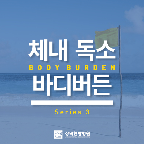  생활 속 환경호르몬 바디버든 줄이기 (3)