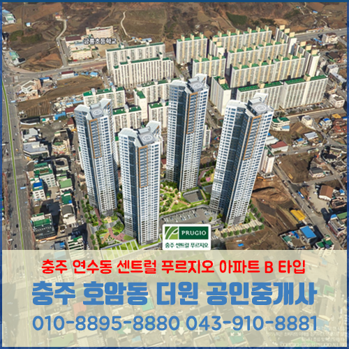  충주 연수동 센트럴 푸르지오 B 타입