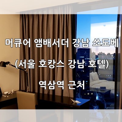  머큐어 앰배서더 강남 쏘도베 (서울 호캉스 강남 호텔)