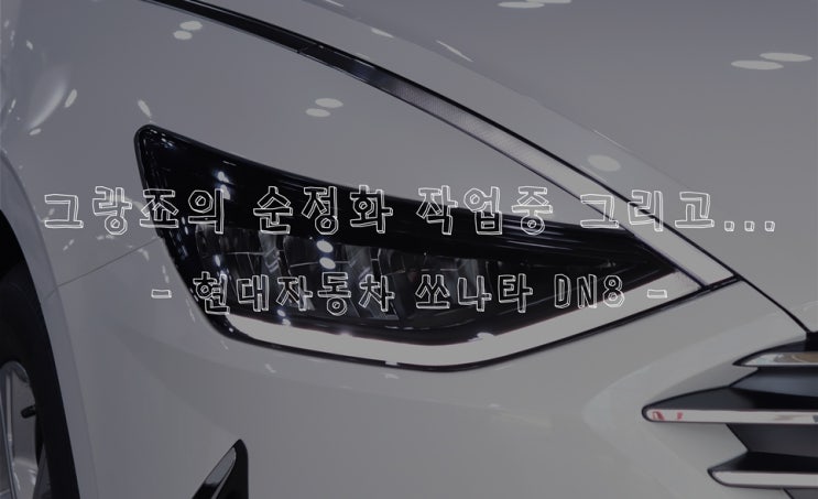  그랑죠 순정화 진행 중 그리고 신형으로 돌아온 풀체인지 현대 쏘나타 DN8 을 전시차로 만나보다!