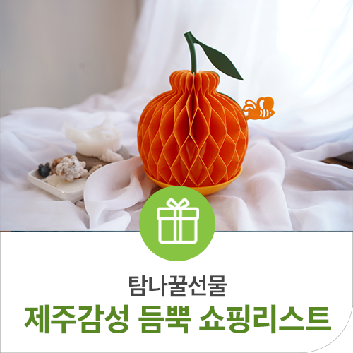  제주쇼핑리스트 제주감성을 담은 선물을 소개할게요!