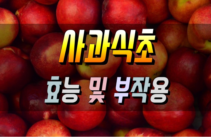  다양한 효능을 가진 사과식초의 모든것