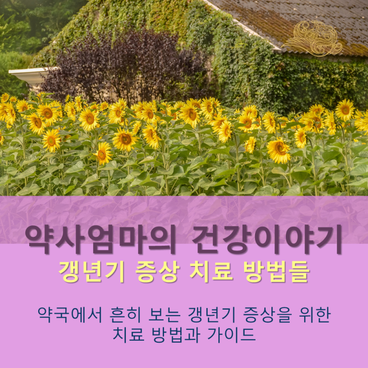  [약사엄마의 건강이야기] 여성 갱년기 증상에는 어떤 선택을 해야 할까?