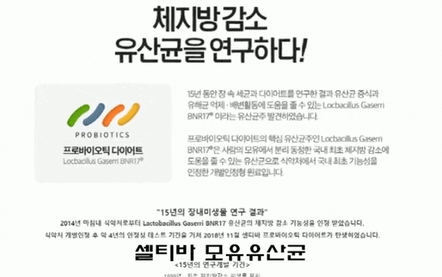  CELTIVA 모유유산균 락토바실러스 가시리 BNR17  유산균  다이어트 유산균 프리바이오틱스  저렴하게 구매하는법