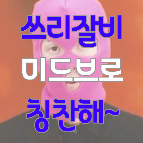  쓰리잘비 미드브로에서 골랐다!