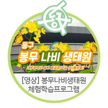  [영상 / 대구 동구청] 봉무 나비 생태원에 체험학습 프로그램을 즐기러 가요!(4세~초등학생 대상) | 봉무 생태공원, 산책로