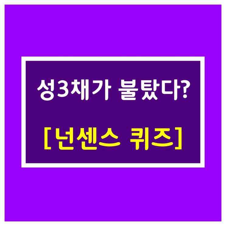 혼자 시간때우기[성3채가 불탔다?]