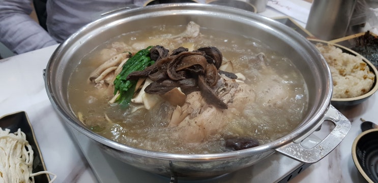 대구 능이백숙맛집 진한국물, 분위기까지 좋은 백참 대구 능이백숙맛집 진한국물, 분위기까지 좋은 백참