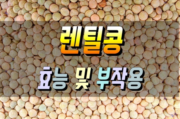  영양소가 풍부한 렌틸콩 효능 부작용 권장량 먹는법 고르는법 심층분석