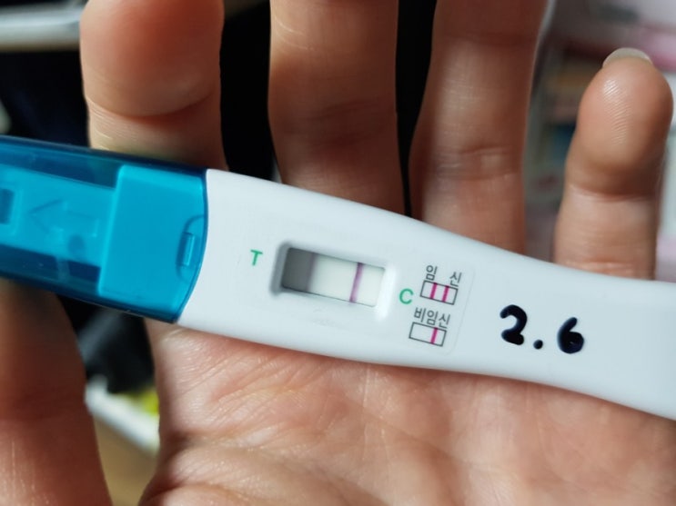  [임신3주-10주] 임신초기 증상 얼리체크 테스트기 사용시기