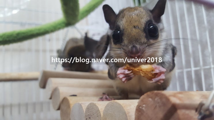 식생활과 식습관-7.적게 먹는데 살이 안빠져요?