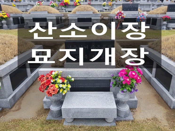  산소이장 어떻게 준비해야 하나요?