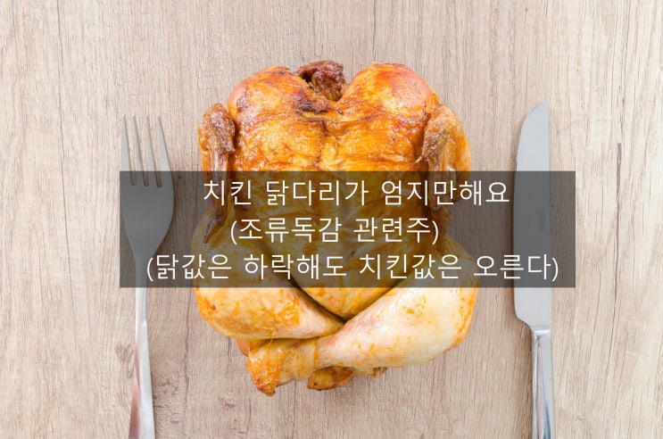  치킨 닭다리가 엄지만해요(feat.조류독감 관련주,닭값은 하락해도 치킨값은 오른다)