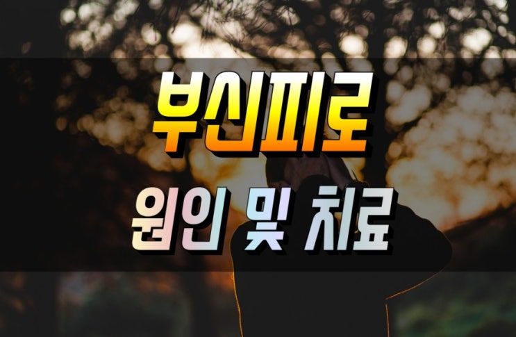  피로의 절정 부신피로증후군 원인 증상 및 치료 심층분석