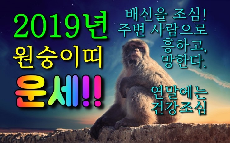 [운세] 2019년원숭이띠 운세 (사람을 믿지말고, 버리지도 마세요. 사람 때문에 울고 웃습니다! )