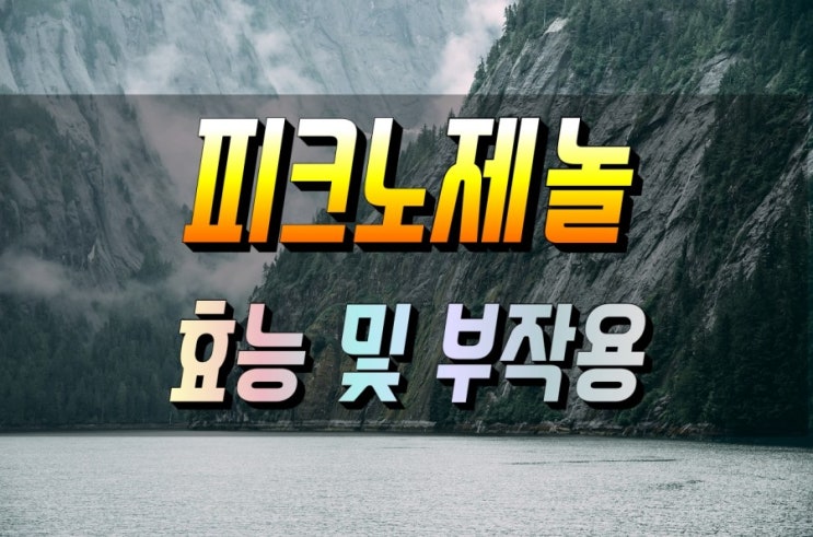  항산화 효능이 있는 피크노제놀 부작용도 꼼꼼히 알아볼게요.
