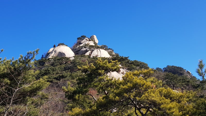 장자 산목편(山木篇) 1 - 자연이 곧 자유다 : 네이버 블로그
