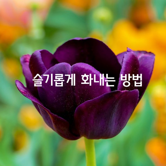  슬기롭게 화내는 방법 12가지