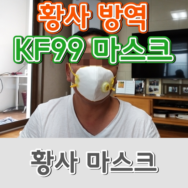  가족 건강을 위한 에버그린 미세먼지 황사 방역용 마스크[KF99] 구입