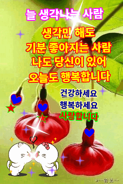 카톡짤모음 행복하세요 엄마카톡 : 네이버 블로그