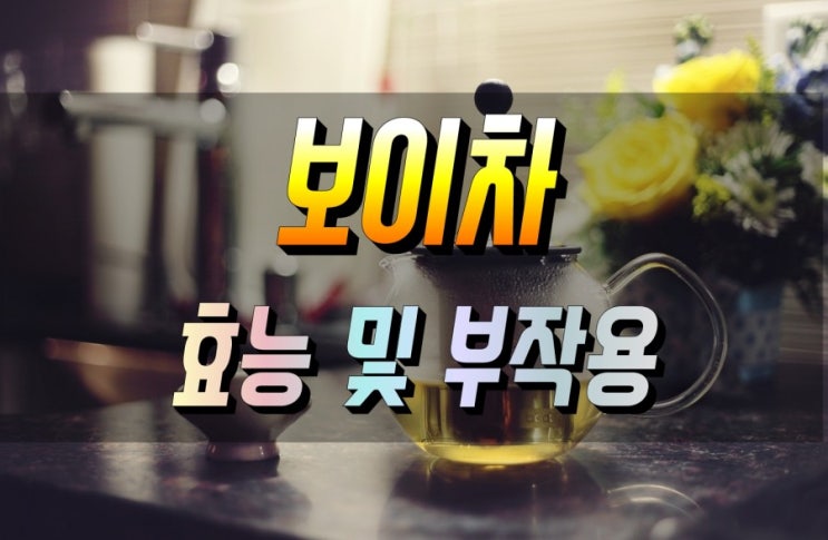  보이차 효능 및 부작용 권장량 보관법 먹는법