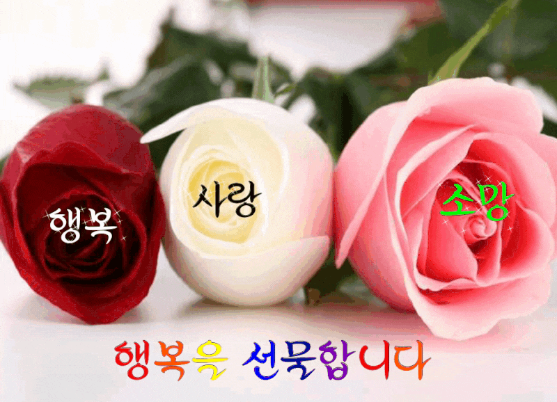 카톡짤모음 행복하세요 엄마카톡 : 네이버 블로그