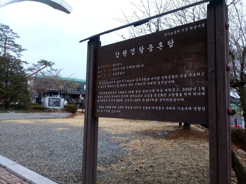 사진 5