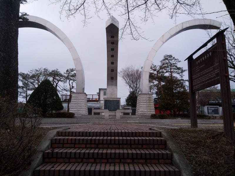사진 6