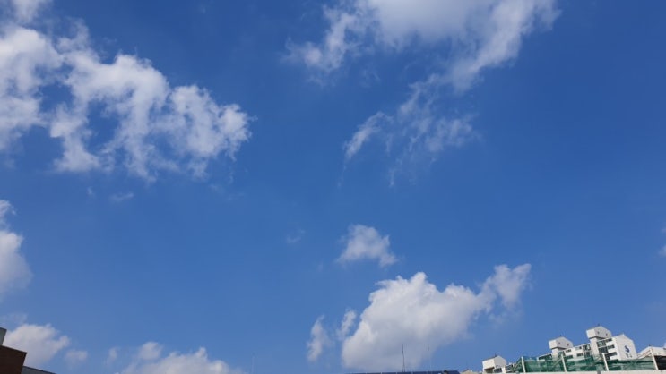  미세먼지 없는 날씨로 간만에 수원화성으로 나들이