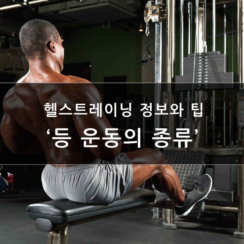 교하짐장이 가르치는 등운동 풀업법