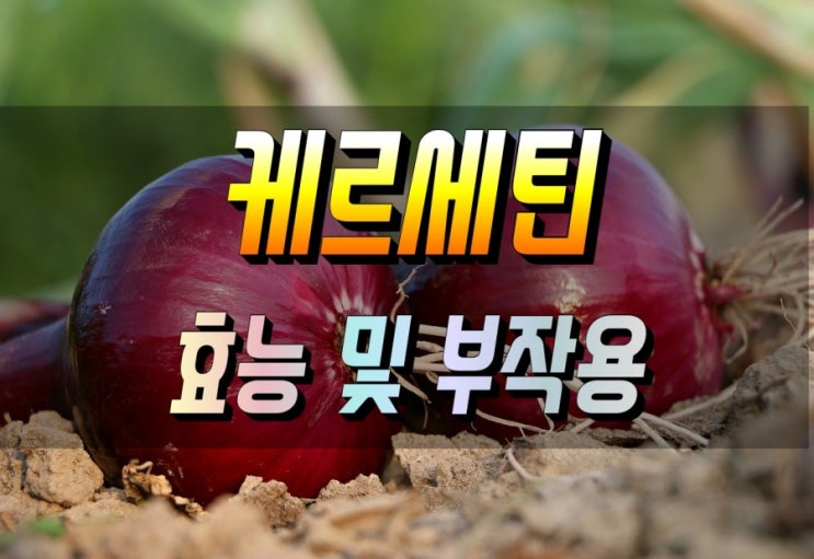  혈관건강을 지키는 케르세틴 퀘르세틴  효능 및 부작용 권장량 먹는법