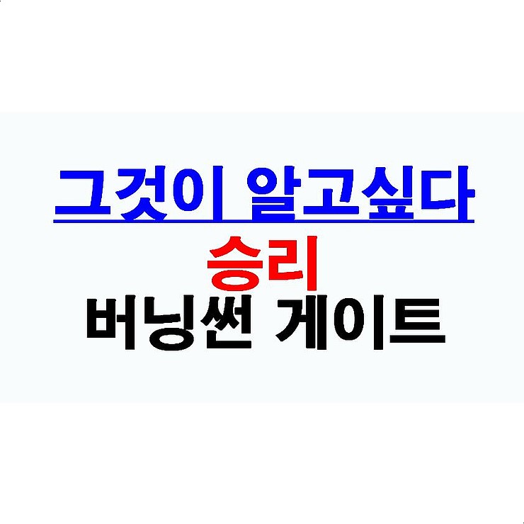 그것이 알고싶다 승리의 버닝썬 게이트::대만 린사모, 삼합회, 탑여배우