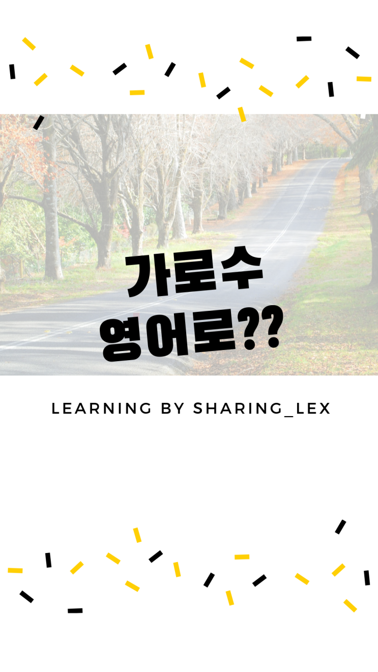  가로수는 영어로 뭐라할까?