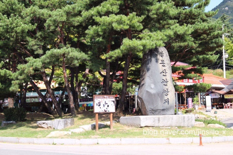  양평/ 가족, 친구, 연인과 용문사 나들이 어떠세요?