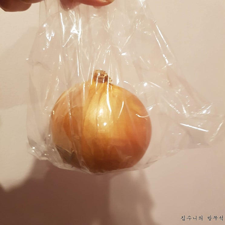  [매일매일 버리기]D+484_양파