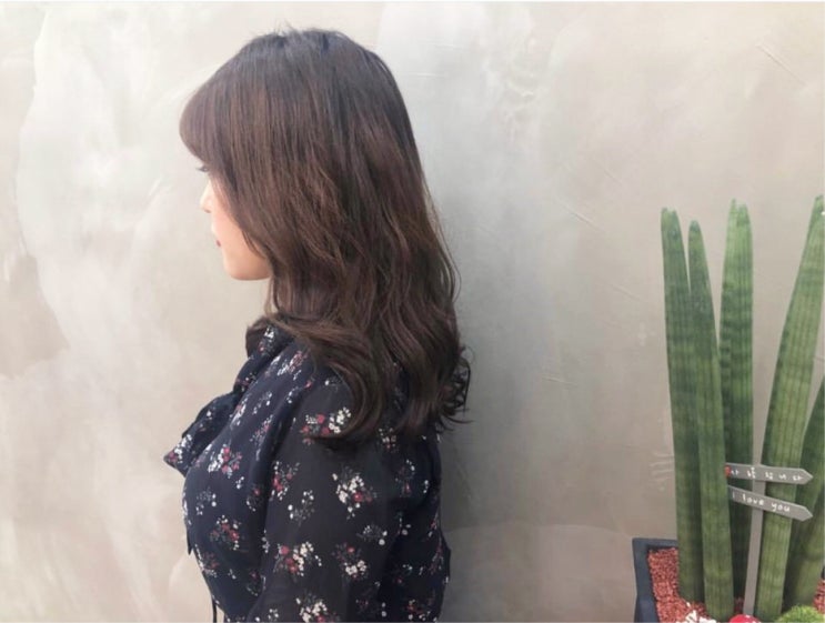  제주시 이도 봄에 어울리는 긴머리펌 도민할인Tip!