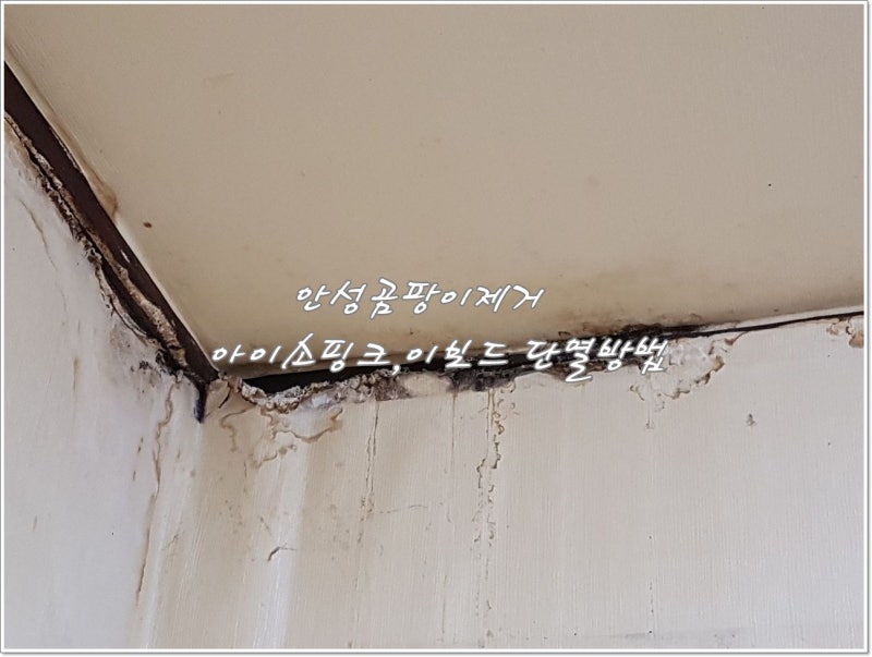 용인곰팡이제거 아이소핑크 이보드 단열재로 따뜻하게 ~