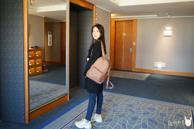 가볍게 매기 좋은 캐주얼 백팩 추천, 허쉘 노바 스몰 라이트 백팩
