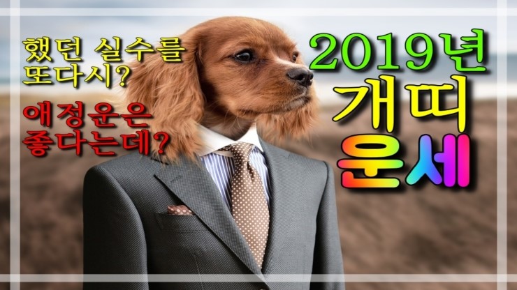  [운세] 2019년 개띠 운세,년간운세 월간운세 (같은 실수 반복으로 낭패본다?,애정운은 그래도 괜찮다?)