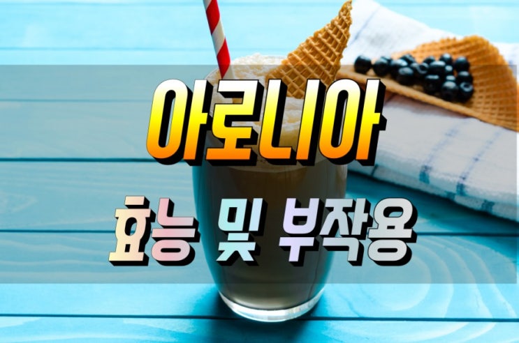  아로니아 효능 및 부작용 먹는법