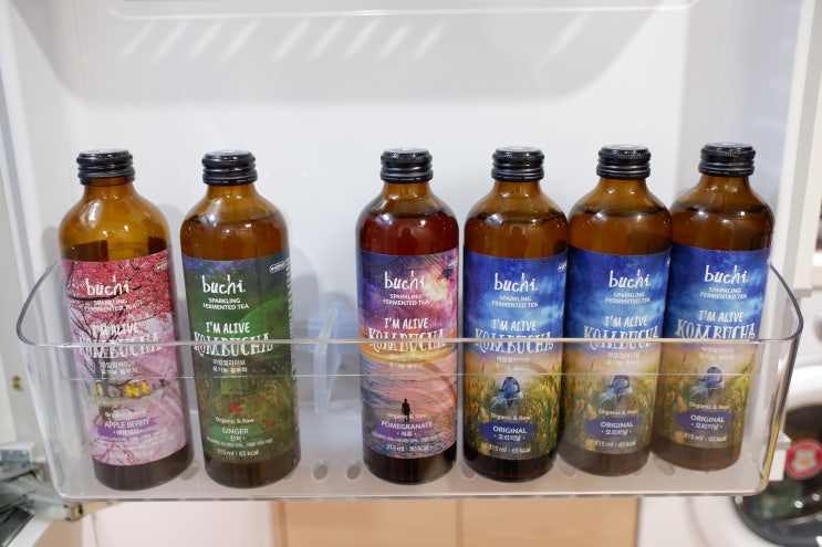  아임얼라이브 콤부차 먹는법 탄산수처럼 마시자