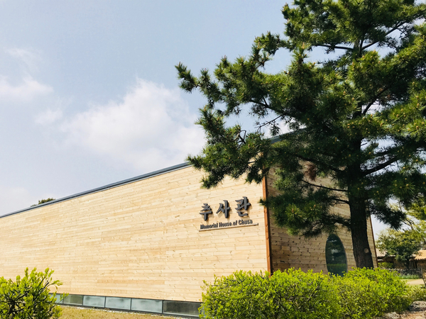  제주도 - 제주 서귀포 추사관/ 오설록/ 성이시돌 목장